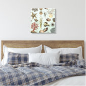 Moderne zeeshells canvas afdruk (Insitu (Slaapkamer))