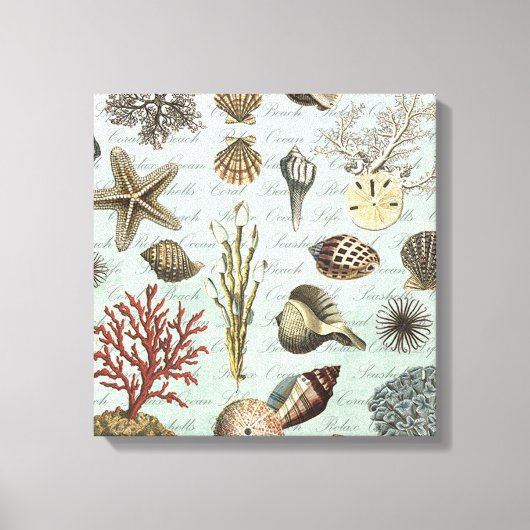 Moderne zeeshells canvas afdruk (Voorkant)