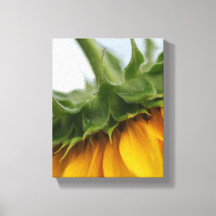 Moderne Zomer Zonnebloem Uitgerekt Canvas Print