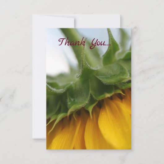 Moderne zonnebloem - Hartelijk dank Bedankkaart (Voorkant)