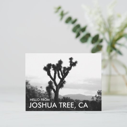 Moderne Zwart & Wit Hallo vanuit Joshua Tree Briefkaart (Staand voorkant)