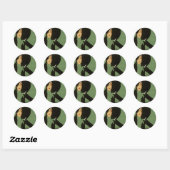 Modiano Ronde Sticker (Vel)