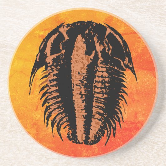 Modocia Typicalis Fossil Trilobite Zandsteen Onderzetter (Voorkant)