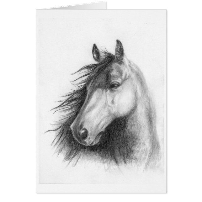 Moe the Morgan (Voorkant)