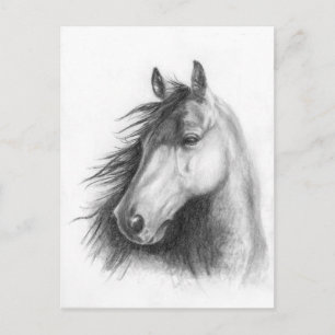 Moe the Morgan portret briefkaart