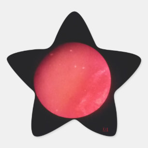 Moed en tegenspoed ster sticker