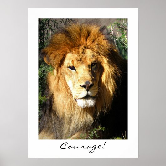 Moed! Poster (Voorkant)