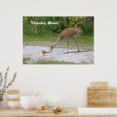 Moeder Bird en Baby Bird Sandhill Cranes Poster (Keuken)