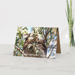 Moeder-Birthday-kaart met Koala joey Kaart