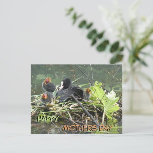 Moeder Coot met Jong Moederdag Briefkaart (Staand voorkant)