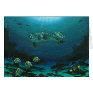 Moeder dolfijn en kalf