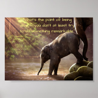 Moeder Elephant en Beste Calf Poster