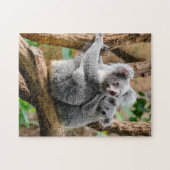 Moeder en baby Animal Koala BearFotografie Dier Legpuzzel (Horizontaal)