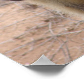 Moeder en Baby Baboon Poster (Hoek)