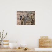 Moeder en Baby Baboon Poster (Keuken)