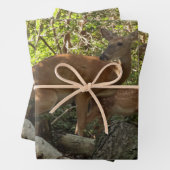 Moeder en Baby Deer in het natuurpark Shenandoah Inpakpapier Vel (In situ)