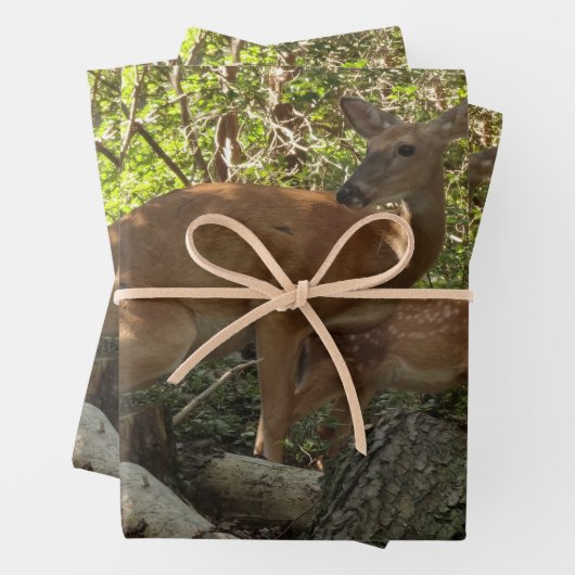 Moeder en Baby Deer in het natuurpark Shenandoah Inpakpapier Vel (In situ)