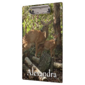 Moeder en Baby Deer in het natuurpark Shenandoah Klembord (Links)