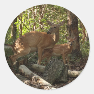 Moeder en Baby Deer in het natuurpark Shenandoah Ronde Sticker