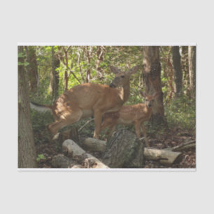 Moeder en Baby Deer in het natuurpark Shenandoah Tissuepapier