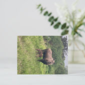 Moeder en baby eland briefkaart (Staand voorkant)