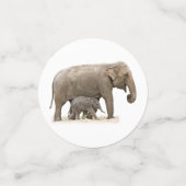 Moeder en Baby Elephant Confetti (Kleine voorkant)
