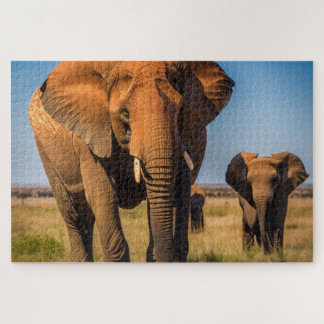 Moeder en Baby Elephant Legpuzzel