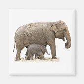 Moeder en Baby Elephant Magneet (Voorkant)