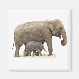 Moeder en Baby Elephant Magneet