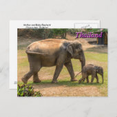 Moeder en Baby Elephant, Thailand Briefkaart (Voorkant / Achterkant)