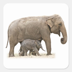 Moeder en Baby Elephant Vierkante Sticker