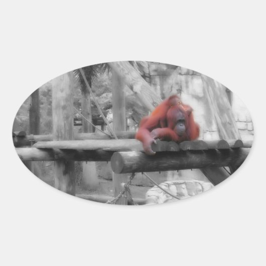 Moeder en Baby orang-oetan Ovale Sticker (Voorkant)