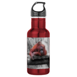 Moeder en Baby orang-oetan Waterfles