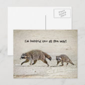 Moeder en Baby Raccoon Briefkaart (Voorkant / Achterkant)