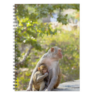 Moeder en baby Rhesus Macaque apen aan de muur Notitieboek