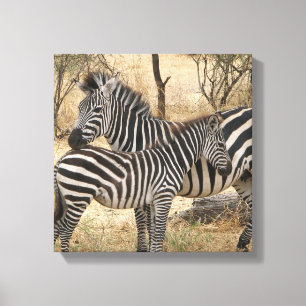 Moeder en Baby Zebra Canvas Print