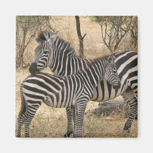 Moeder en Baby Zebra Magnet Magneet