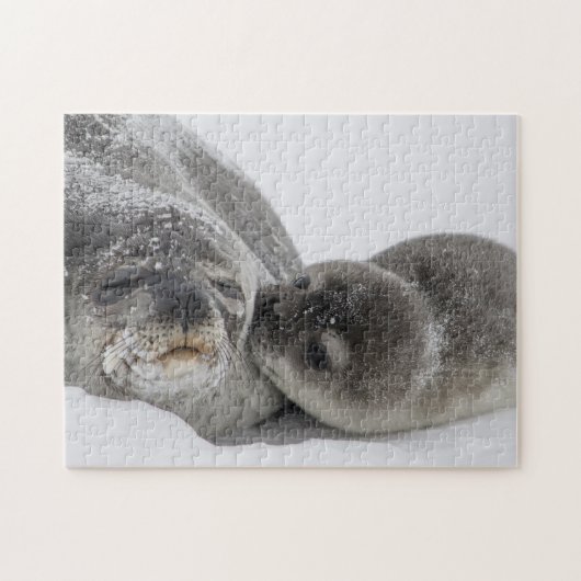 Moeder en Baby zeewier Legpuzzel (Horizontaal)