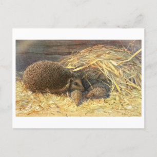 Moeder en baby's Hedgehog Briefkaart
