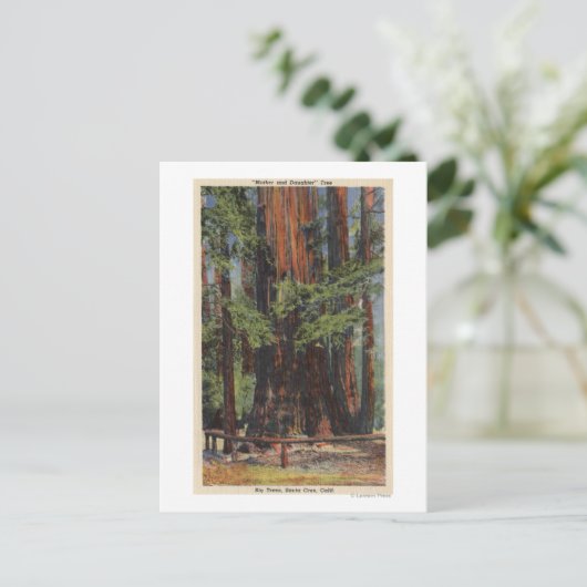 "Moeder" en "Dochter" in Big Trees Park Briefkaart (Staand voorkant)