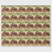 Moeder en jonge orangouans (Pongo pygmaeus) Cadeaupapier (Vlak)