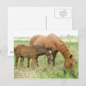 Moeder en kind briefkaart (Voorkant / Achterkant)