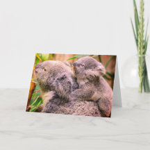 Moeder en kind koala beren gevouwen wenskaart