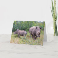 Moeder en kind neushoorn kaart