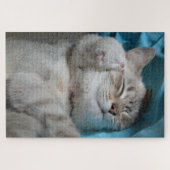 moeder en kitten puzzel (Horizontaal)