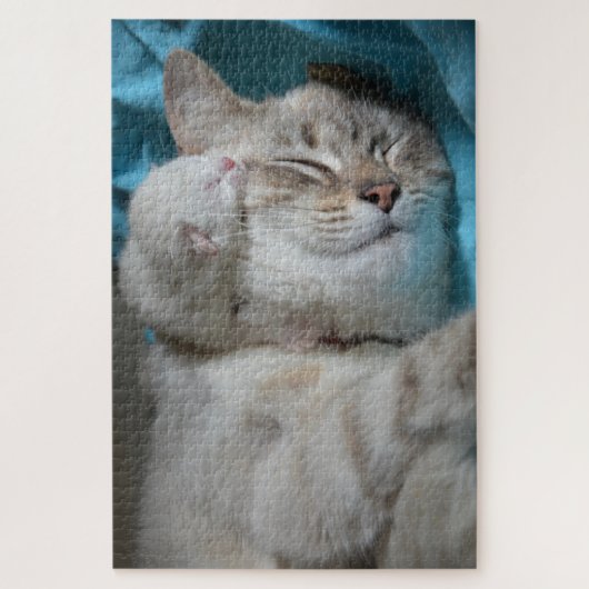 moeder en kitten puzzel (Verticaal)