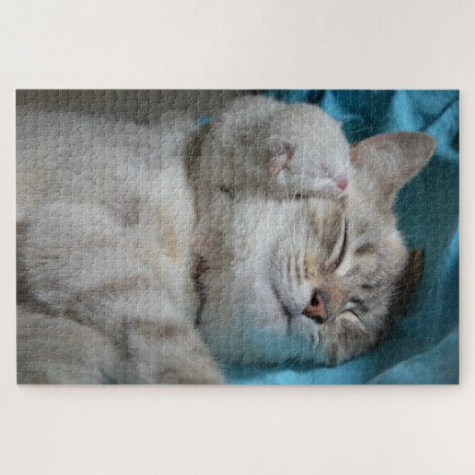 moeder en kitten puzzel legpuzzel (Horizontaal)