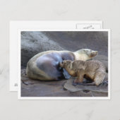 Moeder en Verpleegkundige Pup Briefkaart (Voorkant / Achterkant)