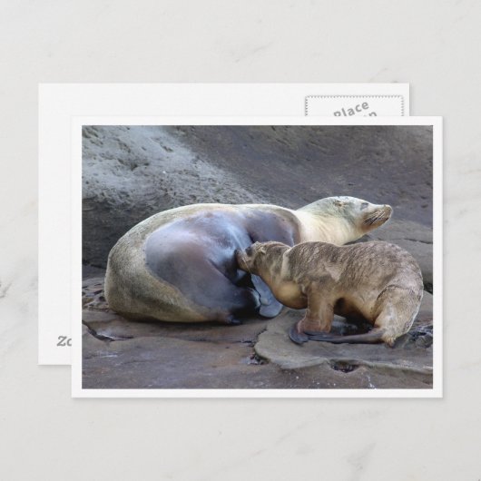 Moeder en Verpleegkundige Pup Briefkaart (Voorkant / Achterkant)