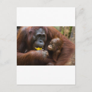 Moeder en zoon briefkaart